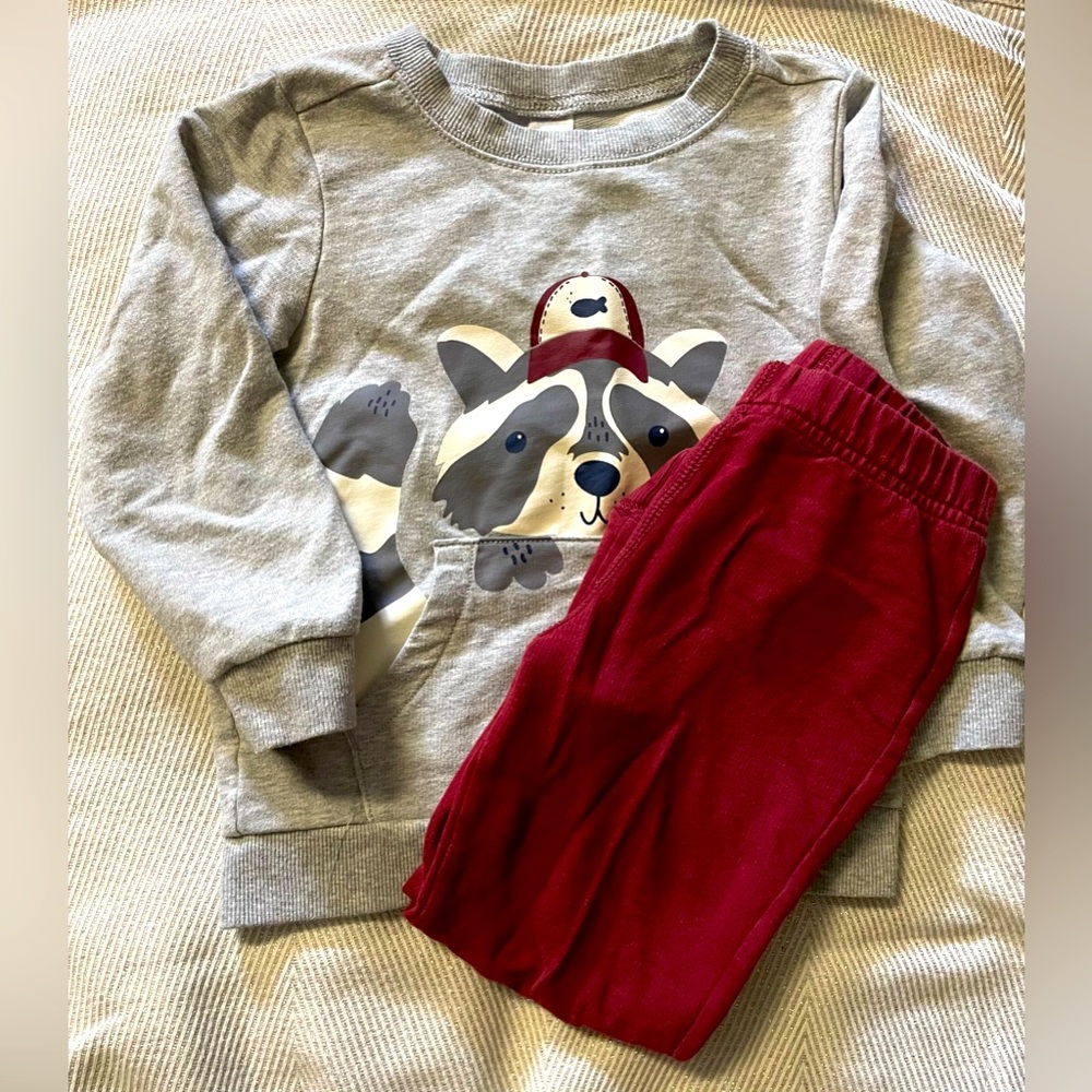 Carter’s Racoon Sweatshirt Set, Size 4T